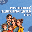 Меры социальной поддержки многодетных семей